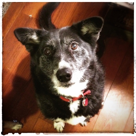 Be Your Own Kinda You! - Picture 16 of 16